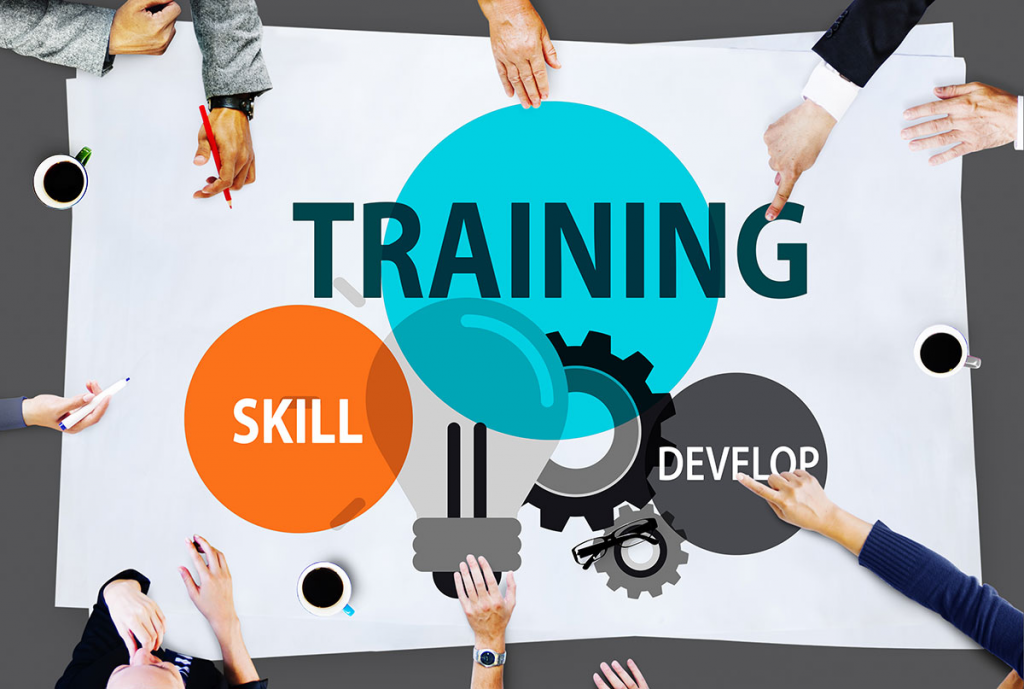 The importance of training and development in the workplace.png